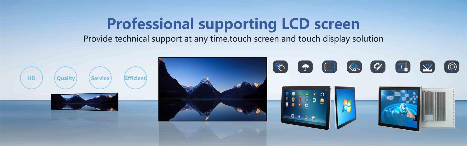 Pannello LCD della visualizzazione
