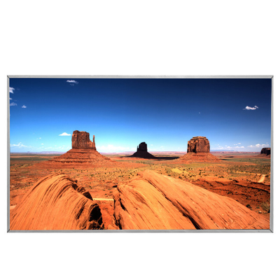 Esposizione LCD LCD a 23,0 pollici di RGB 1920X1080 IPS del pannello della visualizzazione MV230FHM-N10