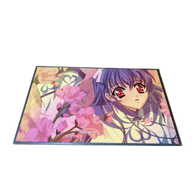 Visualizzazione a 10,1 pollici di B101EAN02.2 TFT LCD 800*1280