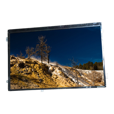 Pannello di visualizzazione dello schermo LCD per laptop HannStar HSD101PWW2-A01 per ASUS TF201