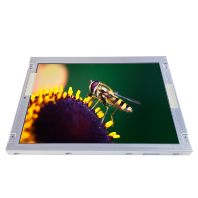 NL10276AC28-01L schermo LCD 1024*768 Display LCD