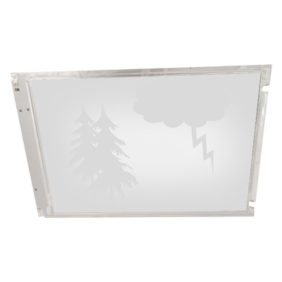 LM80C209 11,3 pollici 800*600 TFT LCD Display Screen