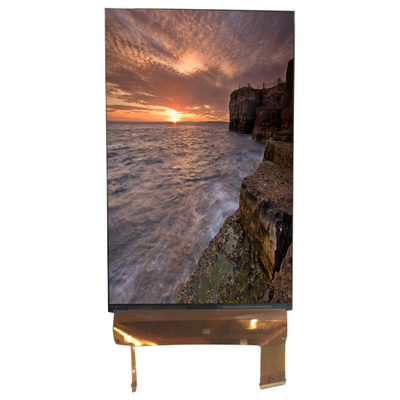 LQ070M1SX01 7,0 pollici schermo 1200*1920 LCD Monitor 71 pin