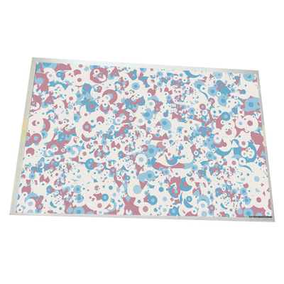 Dimensione 10,1 pollici G101EAN02.5 1280*800 149PPI Pannello LCD