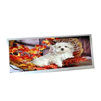 Per AUO C123HAN02.5 Display LCD da 12,3 pollici e 40 pin