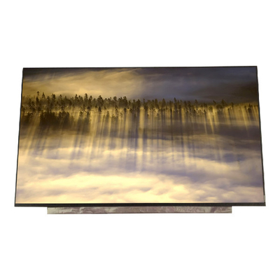 B173HAN04.3 dimensione 17,3 pollici 127PPI 16,7M schermo LCD