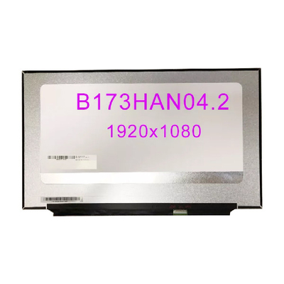 Display LCD da 17,3 pollici