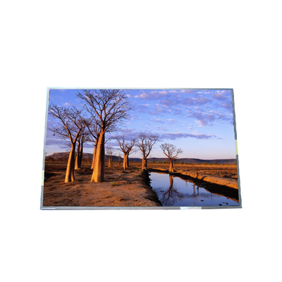 RGB 1440*900 B170PW03 V9 99PPI Pannello LCD TFT