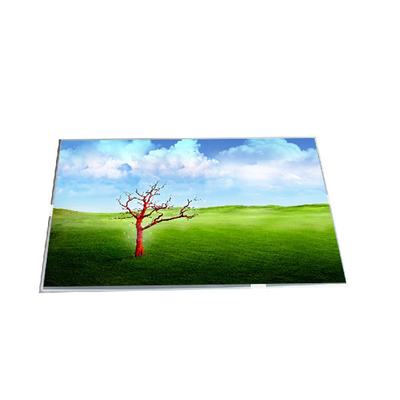 Display LCD RGB a striscia verticale B154PW02 V3 15,4 pollici 60Hz 110PPI