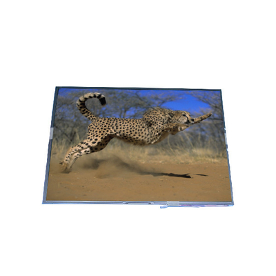B150XG02 V5 15,0 pollici 1024*768 Display LCD TFT-LCD SCREEN