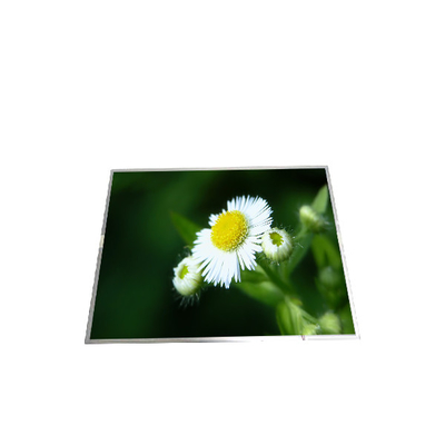 B150XG01 V8 15,0 pollici 1024*768 LCD Display TFT-LCD SCREEN