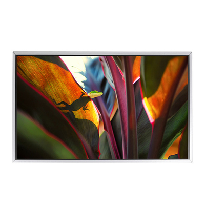 LTM220MT12 Display LCD da 22,0 pollici 1680*1050 tft