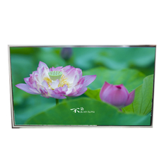 49.0 pollici LD490DUY-ZMA1 Display LCD 1920*1080 51 Pin Screen LCD
