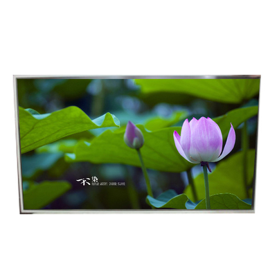 49.0 pollici LD490EPN-UKH1 pannello LCD 1920*1080