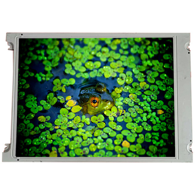 SP14N01L6VLCZ 5,1 pollici 240*128 schermo LCD