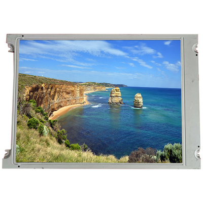 SX25S003-ZZA 10,0 pollici 800*600 schermo LCD per l'industria