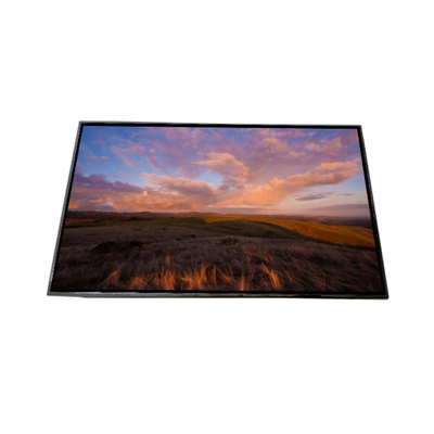 AV101HDM-N10 10,1 pollici schermo LCD Display LCD MODULO