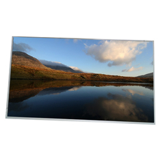 LM300WQ5-STA1 Nuovo schermo LCD originale da 30 pollici per il monitor desktop