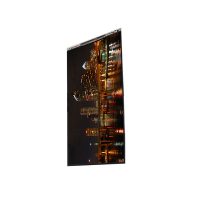 BS066YQE-L30-6Q00 6.6 pollici LCD Display LCD schermo pannello