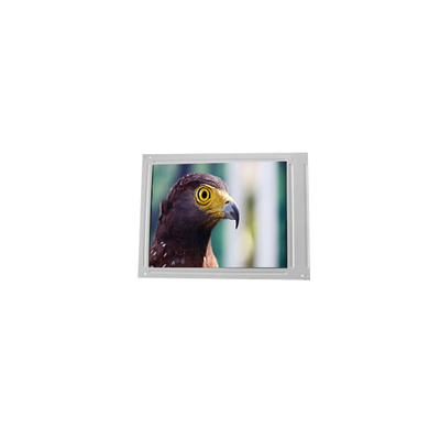 Display LCD LQ10D36C 10,4 pollici WLED 262K
