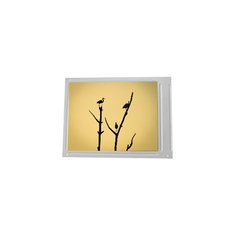 LQ12DX03 12,1 pollici 1024*768 schermo TFT-LCD