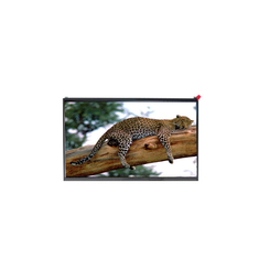 Display LCD LP156UD3-SPD1 originale da 15,6 pollici 3840*2160 TFT IPS