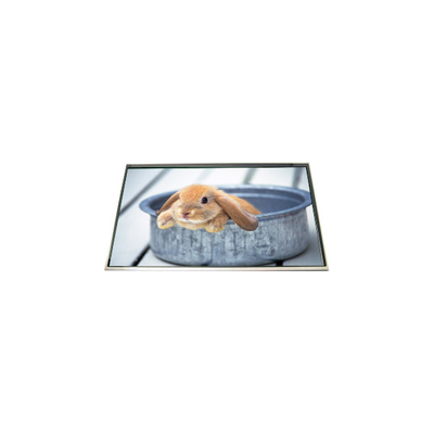 LP173WD1-TLH5 Display LCD da 17,3 pollici a 60 Hz per laptop