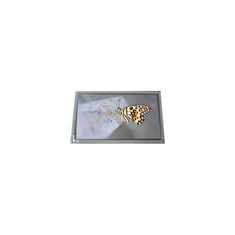 Nuovo LQ065T5BR54U Display LCD da 6,5 pollici
