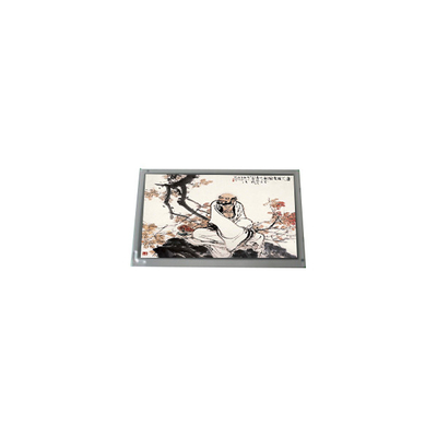 LQ133M1JW48 13,3 pollici eDP 30 pin WLED TFT schermo LCD