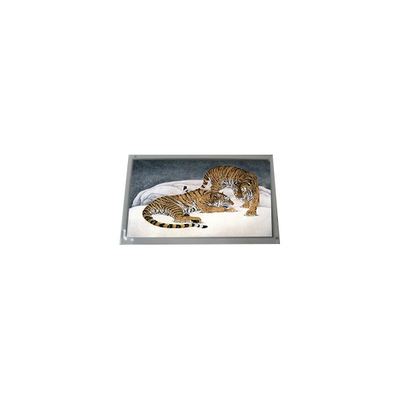 1024*768 14,1 pollici LQ141X1LH43W TFT LCD Display Panel