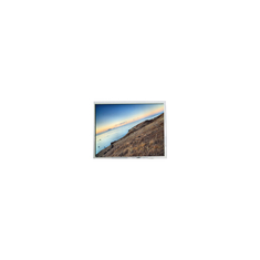PD080SL5 800*600 8,0 pollici 1200 cd/m2 LCD Display Module