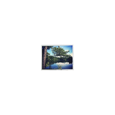 PD104SL3 800*600 10,4 pollici LVDS LCD Display