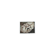 T-55785GD070J-LW-ABN 7.0 pollici 60Hz LCD Display Modulo