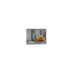 10.4 pollici LCD Display TCG104SVLQ*PNN-AN*55 800*600 Interfaccia LVDS