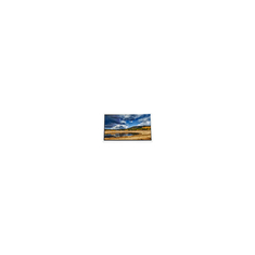 nuovo COM43T4M81ZTC da 4,3 pollici 480*272 Display LCD Touch per PDA