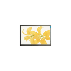 10.4 pollici LPM104GNX1 R1 TFT LVDS 262K LCD Monitor