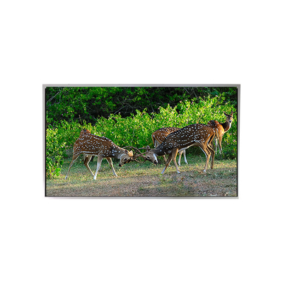 Vendita calda 21,3 pollici 1200*1600 P213UXF1MA10 LVDS monitor LCD