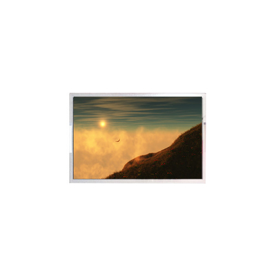 Originale 8,0 pollici 800*480 Risoluzione schermo LCD WF80QTIFGDBNB#