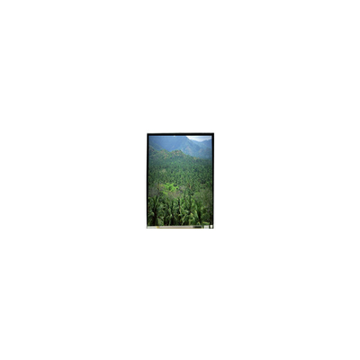LS055B3SX04Z 5.5 pollici 1920*3664 TFT LCD Screen Panel