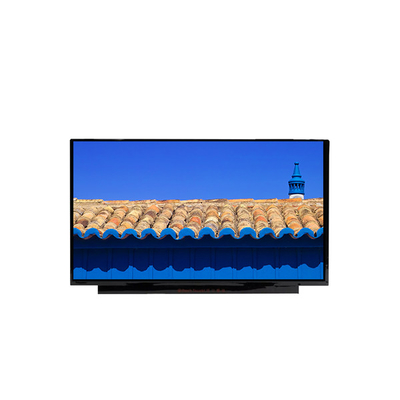 BOE NE170QDM-NZ1 17,0 pollici 2560*1600 a-Si TFT-LCD LCM