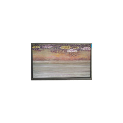 6.1 pollice TFT LCD Panel U061SWR6-0 schermo LCD display panel