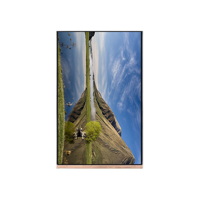 NV103WUM-N61 10,3 pollici 1200*1920 schermo LCD Display For Pad Tablet