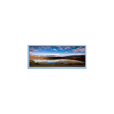 M102AWF2 R2 10.3 pollici 1920*720 LCD Display Panel