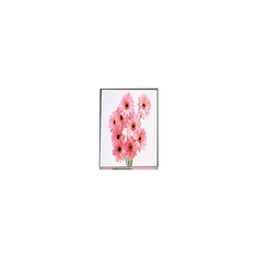 6.1 pollice C061SWR3-0 720*1560 Display LCD PER Telefono Cellulare