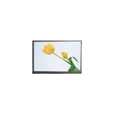 J055SWRA R0 Pannello LCD da 5,5 pollici