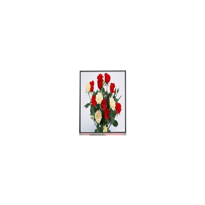 720*1480 LCD Display Panel 6.3 pollici C063SWR1-0