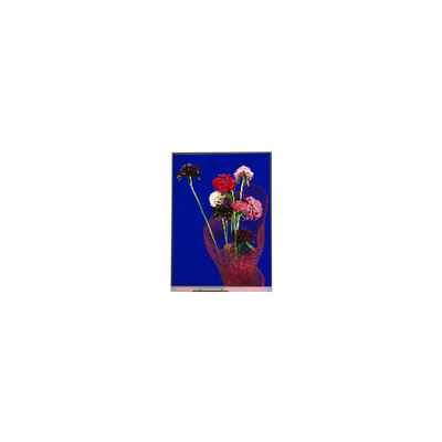 5.4 pollici C054SWR6-0 540 * 1132 schermo LCD per telefono