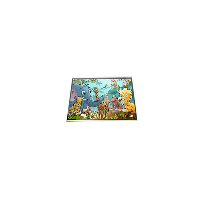 LPM060A513A Display LCD da 6,0 pollici