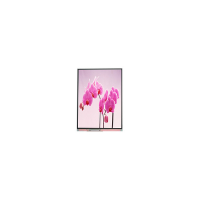 C060SWR5-1 6,0 pollici 720*1440 LCD Display Panel per telefono cellulare