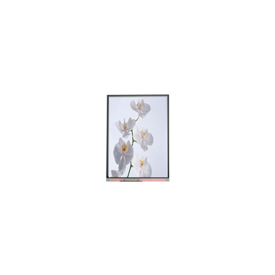 C060SWR6-1 6,0 pollici 720*1528 pannello LCD